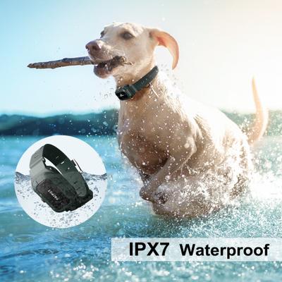 Show full view: PATPET P920B Outdoor Dedicated 1300M Remote Dog Training Collar, Dark Green, 2 count slide 4 of 10