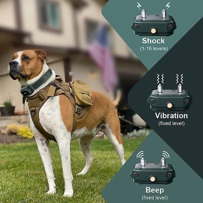 Show full view: PATPET P920B Outdoor Dedicated 1300M Remote Dog Training Collar, Dark Green, 2 count slide 2 of 10