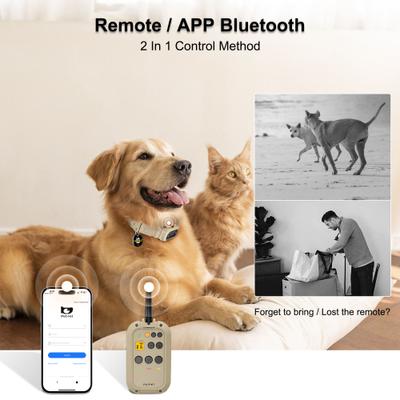 Show full view: PATPET P930 APP Bluetooth & Rechargeable Remote Training Dog Collar, Desert Grey slide 3 of 11