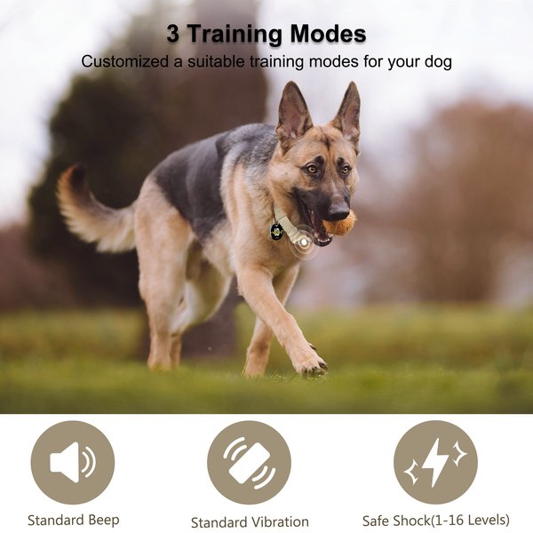 Show full view: PATPET P930 APP Bluetooth & Rechargeable Remote Training Dog Collar, Desert Grey slide 5 of 10