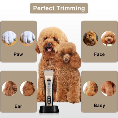 Show full view: PATPET P930 Rechargeable Five-Level Speed Regulation Seat Pet Hair Grooming Clippers, Gold slide 2 of 9