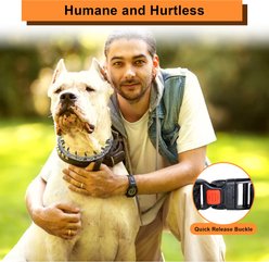 PATPET Quick Release Buckle Prong Training Pinch Dog Collar, 20-in neck, 3.0-mm wide slide 2 of 7