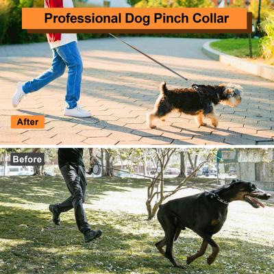 Show full view: PATPET Quick Release Buckle Prong Training Pinch Dog Collar, 20-in neck, 3.0-mm wide slide 3 of 8