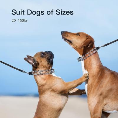 Show full view: PATPET Quick Release Buckle Prong Training Pinch Dog Collar, 20-in neck, 3.0-mm wide slide 6 of 8