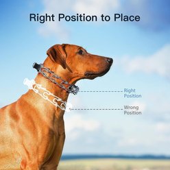 PATPET Quick Release Buckle Prong Training Pinch Dog Collar, Black, 22-in neck, 3.5-mm wide slide 2 of 6
