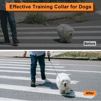 Show full view: PATPET Quick Release Buckle Prong Training Pinch Dog Collar, Black, 22-in neck, 3.5-mm wide slide 3 of 7