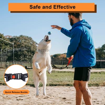 Show full view: PATPET Quick Release Buckle Prong Training Pinch Dog Collar, Black, 22-in neck, 3.5-mm wide slide 2 of 7