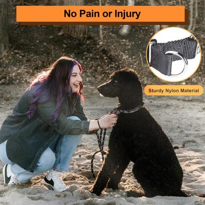 Show full view: PATPET Quick Release Buckle Prong Training Pinch Dog Collar, Black, 25-in neck, 4.0-mm wide slide 2 of 7