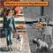 Show in main carousel: PATPET Quick Release Buckle Prong Training Pinch Dog Collar, Black, 25-in neck, 4.0-mm wide slide 3 of 7