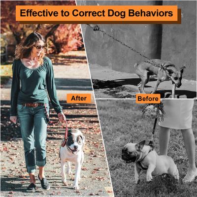 Show full view: PATPET Quick Release Buckle Prong Training Pinch Dog Collar, Black, 25-in neck, 4.0-mm wide slide 3 of 7