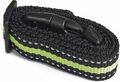 PATPET Reflective Standard Collar Strap, Fluorescent Green
