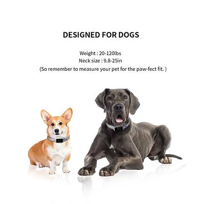 Show full view: PATPET Smart Anti-Bark Dog Training Collar slide 6 of 11