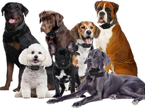 Show full view: PATPET T30 NFC Pet ID Tag & LED 2000-ft Remote Dog Bark Training Collar, Black, 2 count slide 7 of 10