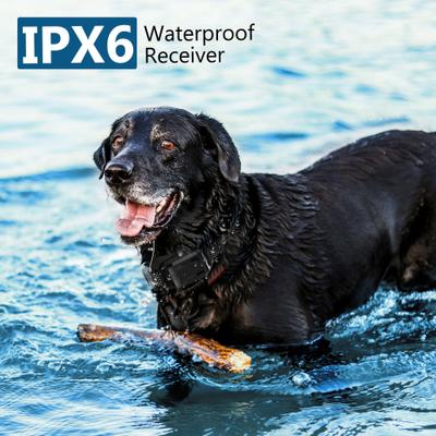 Show full view: PATPET T510 1000-ft Citronella Spray IPX6 Waterproof No Shock with Beep & Vibration Dog Training Collar slide 4 of 6