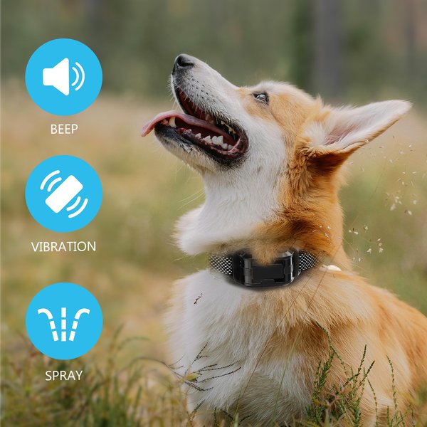 PATPET T510 1000-ft Citronella Spray IPX6 Waterproof No Shock with Beep & Vibration Dog Training Collar
