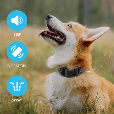 Show full view: PATPET T510 1000-ft Citronella Spray IPX6 Waterproof No Shock with Beep & Vibration Dog Training Collar slide 3 of 6