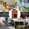 Show in main carousel: PATPET U11 Auto Anti Bark Device Outdoor Ultrasonic Dog Bark Control, Orange slide 8 of 10