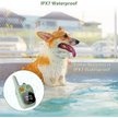 Show in main carousel: PATPET Ultra Compact Dog Training Collar with Remote, IPX7 Waterproof & Rechargeable, Green slide 4 of 10