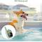 Show in main carousel: PATPET Ultra Compact Dog Training Collar with Remote, IPX7 Waterproof & Rechargeable, Green slide 4 of 10