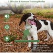 Show in main carousel: PATPET Ultra Compact Dog Training Collar with Remote, IPX7 Waterproof & Rechargeable, Green slide 2 of 10