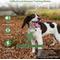 Show in main carousel: PATPET Ultra Compact Dog Training Collar with Remote, IPX7 Waterproof & Rechargeable, Green slide 2 of 10