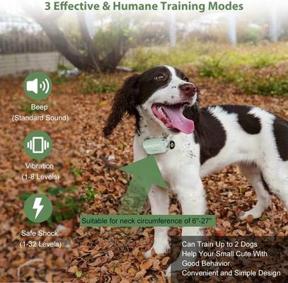 Show full view: PATPET Ultra Compact Dog Training Collar with Remote, IPX7 Waterproof & Rechargeable, Green slide 2 of 10