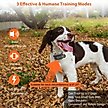 Show in main carousel: PATPET Ultra Compact Dog Training Collar with Remote, IPX7 Waterproof & Rechargeable, Small, Orange slide 2 of 10