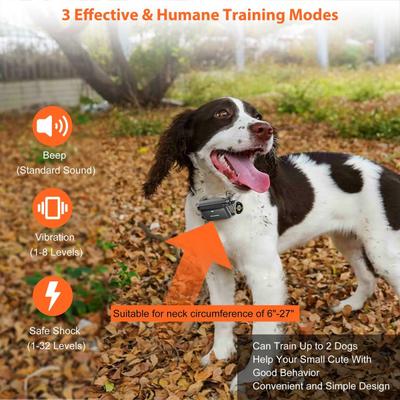 Show full view: PATPET Ultra Compact Dog Training Collar with Remote, IPX7 Waterproof & Rechargeable, Small, Orange slide 2 of 10