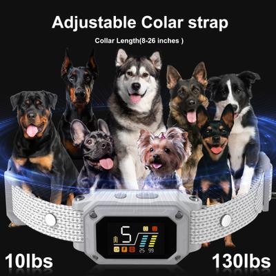 Show full view: PATPET Waterproof Smart Anti-Bark Dog Collar, Gray slide 7 of 9