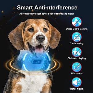 PATPET Waterproof Smart Anti-Bark Dog Collar, Green