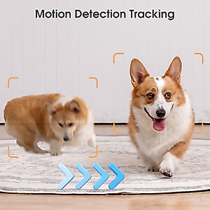 PATPET WIFI Monitoring Auto Focus Camera, White