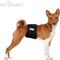 Show in main carousel: Paw Inspired Belly Band Male Dog Wrap Washable, Black, Black Lining, Medium, 3 count slide 4 of 9
