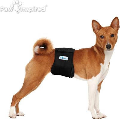 Show full view: Paw Inspired Belly Band Male Dog Wrap Washable, Black, Black Lining, Medium, 3 count slide 4 of 9