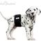 Show in main carousel: Paw Inspired Belly Band Male Dog Wrap Washable, Black, Black Lining, Small, 3 count slide 4 of 9
