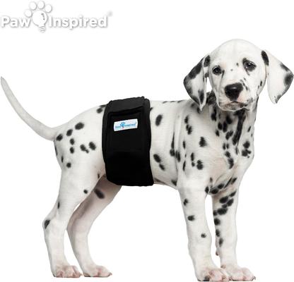 Show full view: Paw Inspired Belly Band Male Dog Wrap Washable, Black, Black Lining, Small, 3 count slide 4 of 9