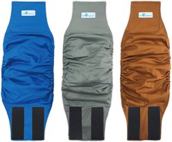 Paw Inspired Belly Band Male Dog Wrap Washable, Black Lining, Medium, 3 count