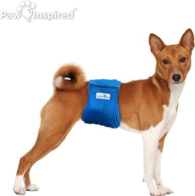 Show full view: Paw Inspired Belly Band Male Dog Wrap Washable, Black Lining, Medium, 3 count slide 4 of 9