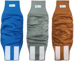 Paw Inspired Belly Band Male Dog Wrap Washable, Medium: 15 to 21-in waist, 3 count