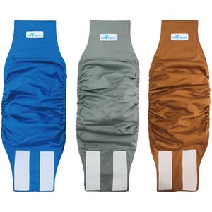 Paw Inspired Belly Band Male Dog Wrap Washable, Medium: 15 to 21-in waist, 3 count