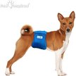 Show in main carousel: Paw Inspired Belly Band Male Dog Wrap Washable, Medium: 15 to 21-in waist, 3 count slide 4 of 9