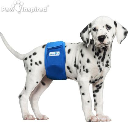 Show full view: Paw Inspired Belly Band Male Dog Wrap Washable, Small: 12 to 18-in waist, 3 count slide 5 of 10