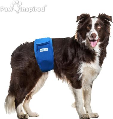 Show full view: Paw Inspired Belly Band Male Dog Wrap Washable, Variety Pack, White Lining, Large, 2 count slide 5 of 10