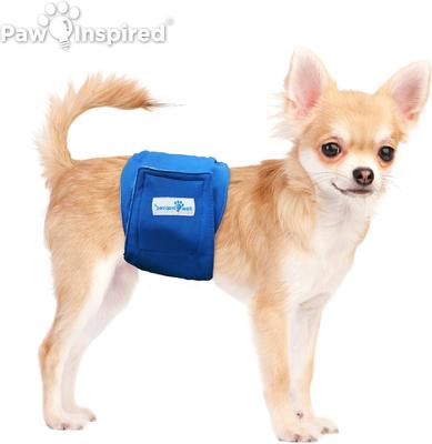Show full view: Paw Inspired Belly Band Male Dog Wrap Washable, X-Small: 10 to 14-in waist, 3 count slide 4 of 9