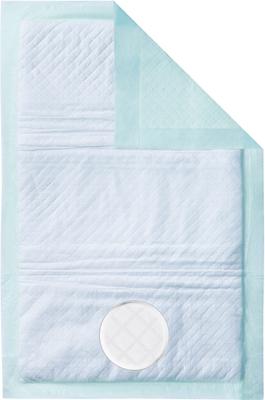 Show full view: Paw Inspired Cat Litter Pads, 20 count, Teal slide 2 of 6