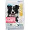 Show in main carousel: Paw Inspired Disposable Female Dog Diapers, Large: 19 to 28-in waist, 12 count slide 1 of 9