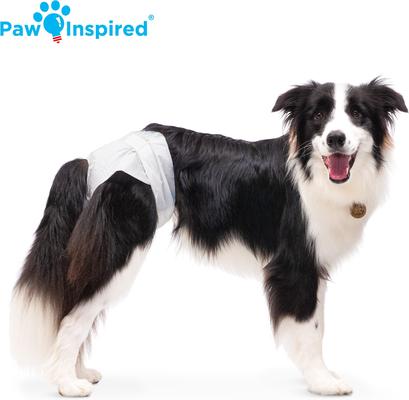 Show full view: Paw Inspired Disposable Female Dog Diapers, Large: 19 to 28-in waist, 12 count slide 5 of 9