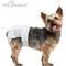 Show in main carousel: Paw Inspired Disposable Female Dog Diapers, Small: 14 to 19-in waist, 12 count slide 4 of 10