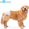 Show in main carousel: Paw Inspired Disposable Female Dog Diapers, X-Large: 22 to 35-in waist, 12 count slide 5 of 9