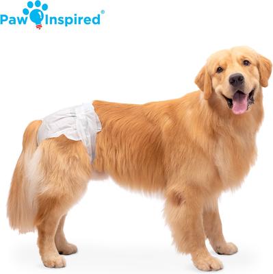 Show full view: Paw Inspired Disposable Female Dog Diapers, X-Large: 22 to 35-in waist, 12 count slide 5 of 9