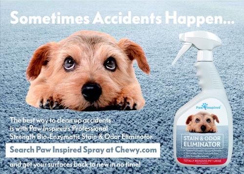 Show full view: Paw Inspired Dog Diaper Pad Liners for Covers & Washable Dog Diapers, 30 count slide 6 of 8